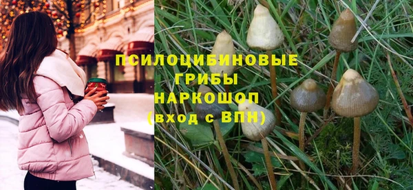 героин Богданович