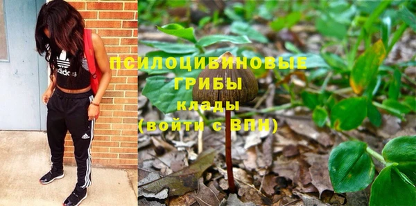 героин Богданович