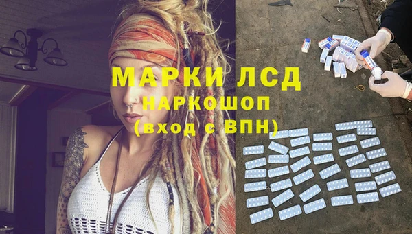 стафф Богородск