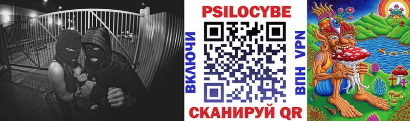 где купить   сайты даркнета наркотические препараты  Псилоцибиновые грибы Magic Shrooms  Гатчина 