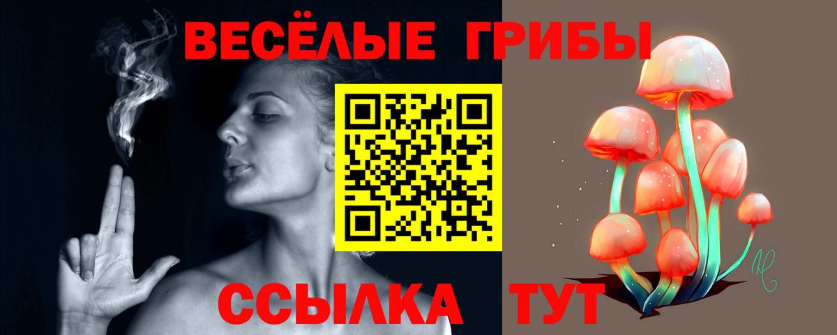 Галлюциногенные грибы Cubensis  купить закладку  Гатчина  Вход с VPN 