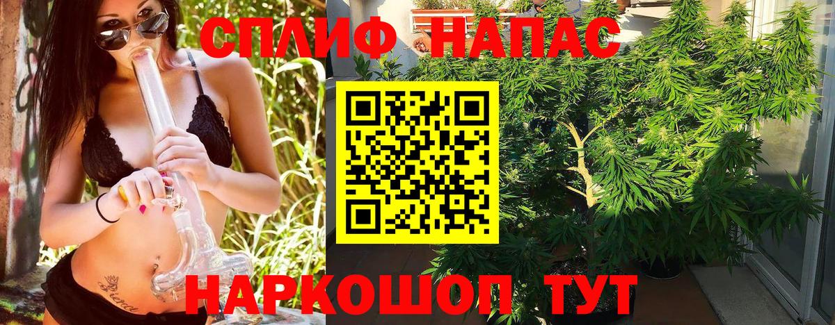 Гатчина  Шишки марихуана марихуана  Вход с VPN  Шишки марихуана марихуана  Конопля марихуана  Конопля планчик 